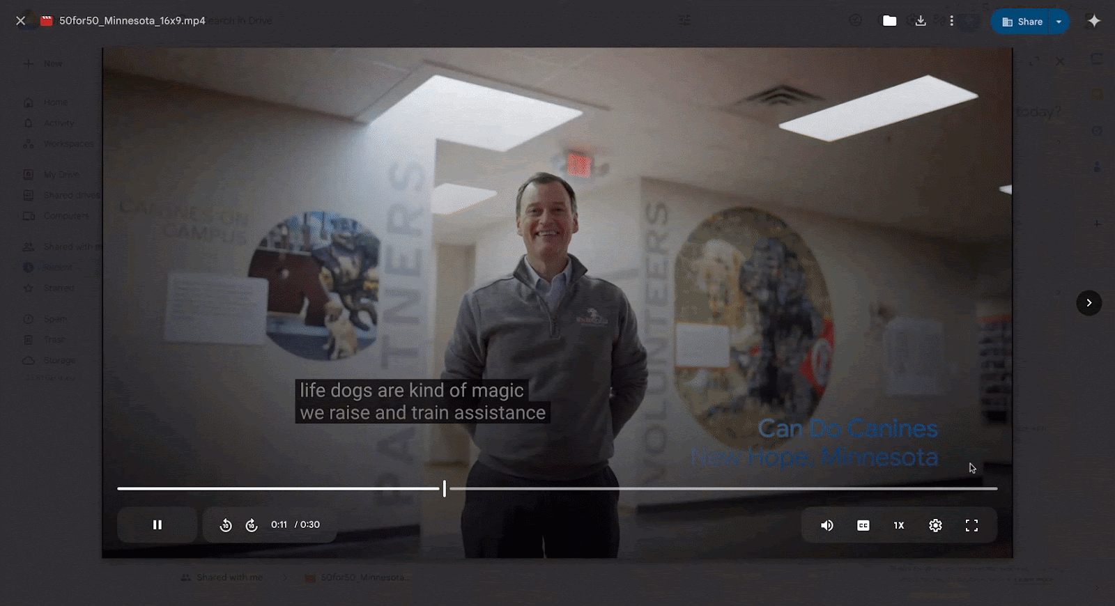 Google Drive Search Video Transcripts
