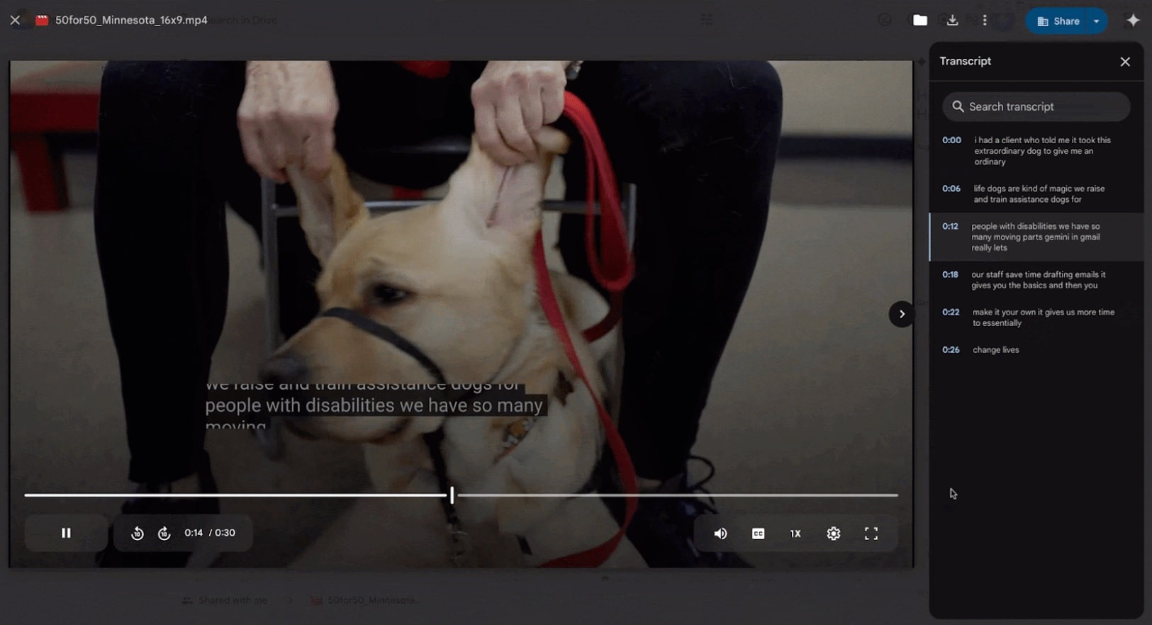 Google Drive transcript