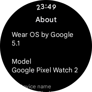 Wear OS 5.1 AOD (2)