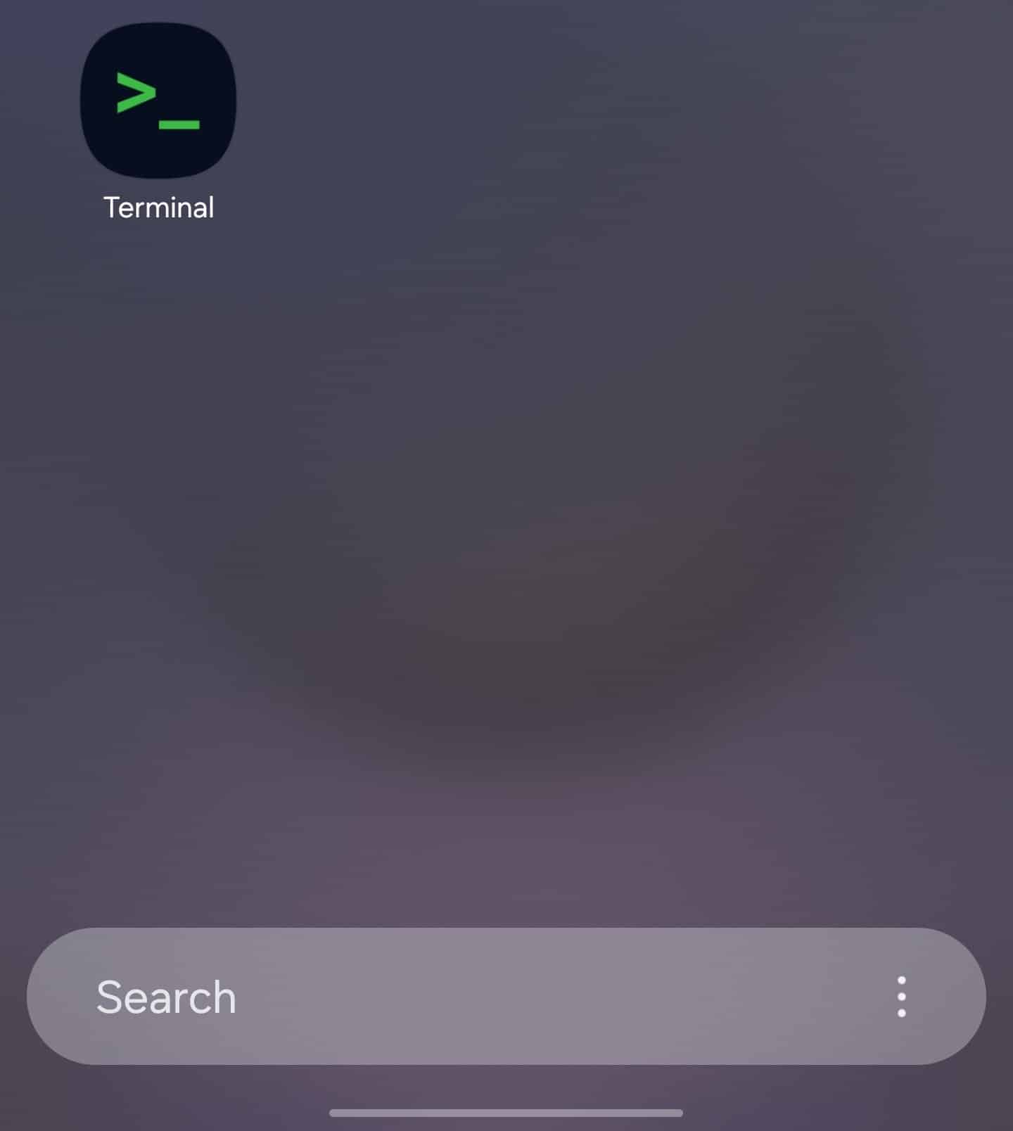 One UI 8 Terminal app