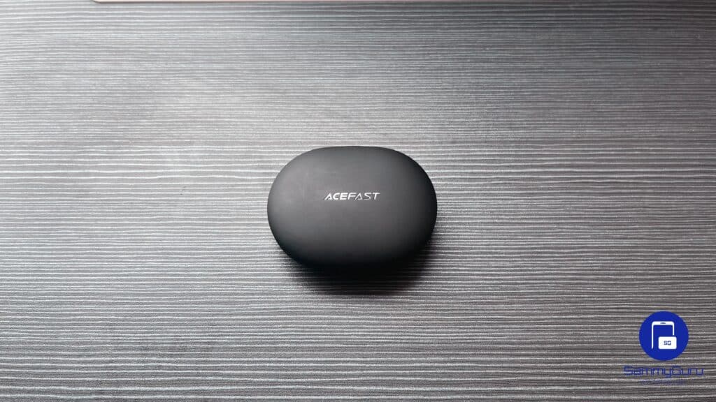 AceFast AceFit Review