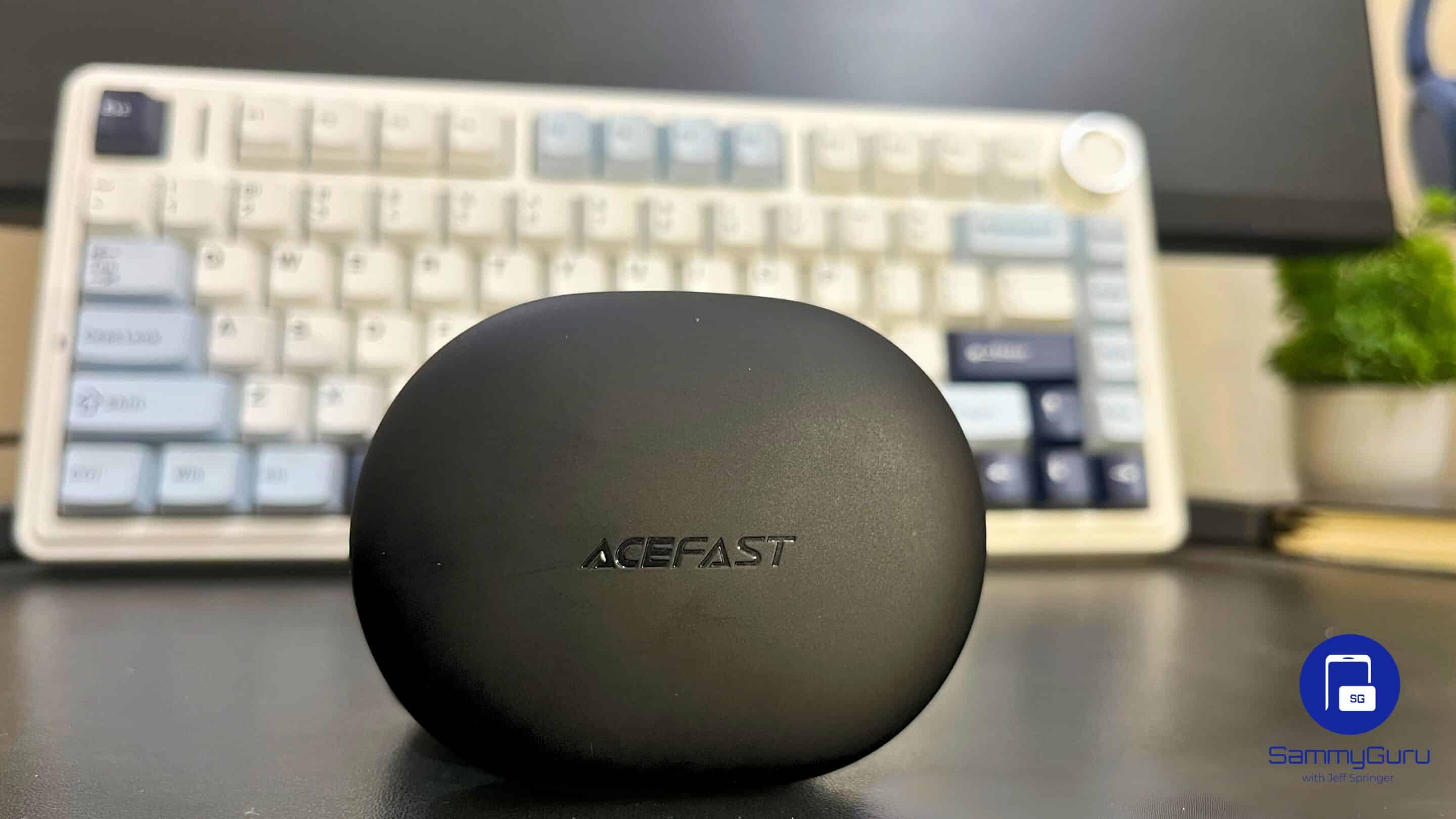 AceFast AceFit Review