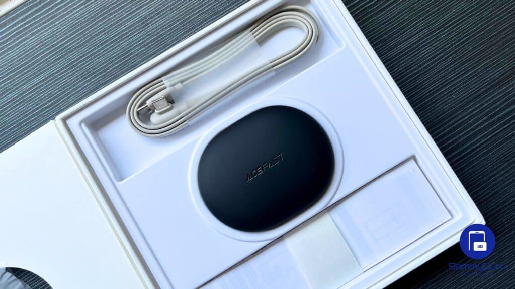 AceFast AceFit Review