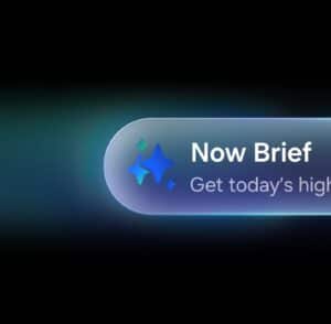 Now Brief