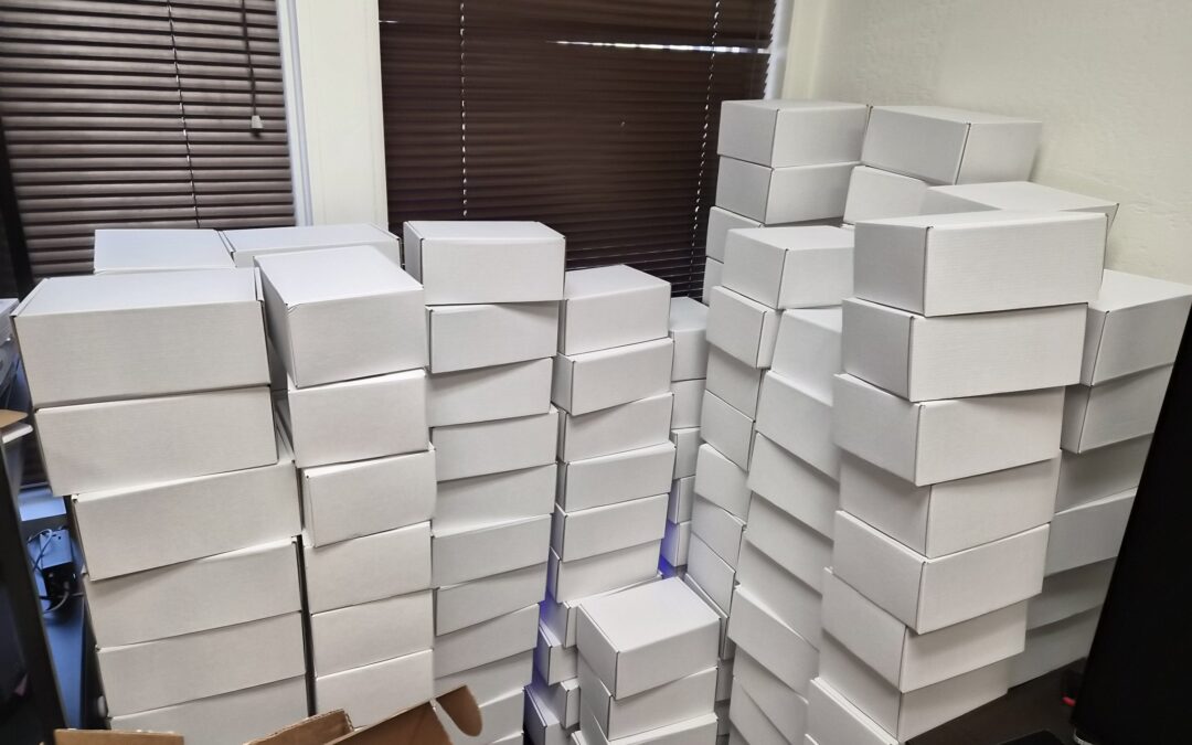 Unboxing Galaxy Z Fold 7 and Watch 8 Combo Mystery Box