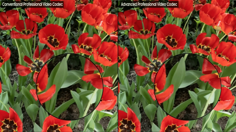 Standard Professional Codec vs APV Codec