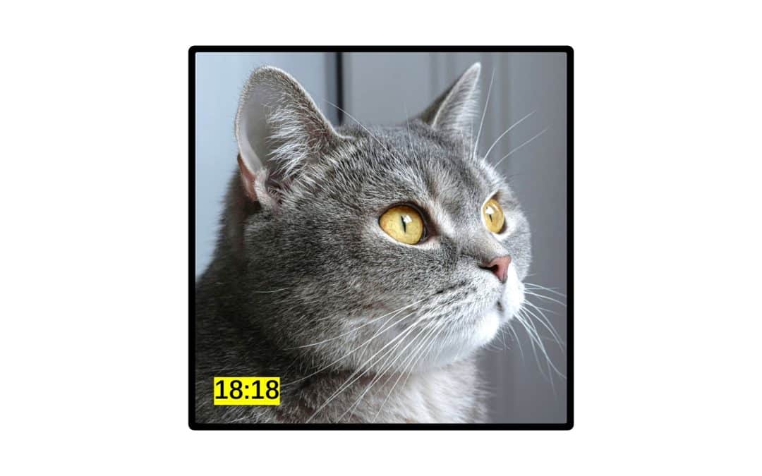 Samsung Prepares two Fold Models for 2026 — Fold 8 FE or Something New?