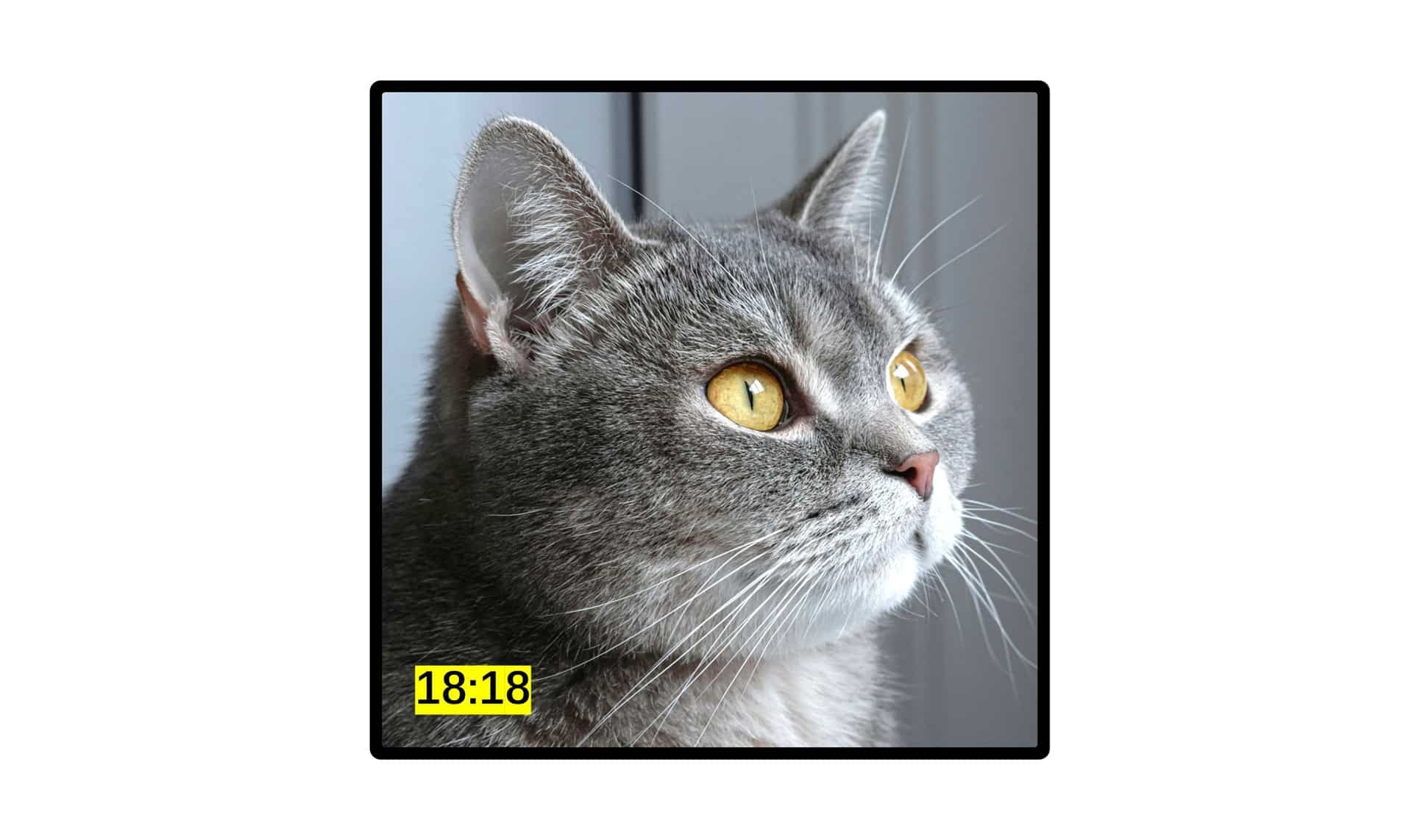 Samsung new square Fold 8 mockup