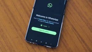 WhatsApp SammyGuru