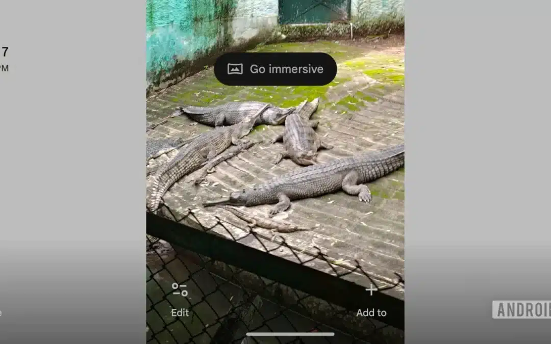 Google Photos Adds “Spatial” Magic Ahead of Galaxy XR