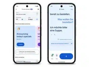 Google Gemini Translate